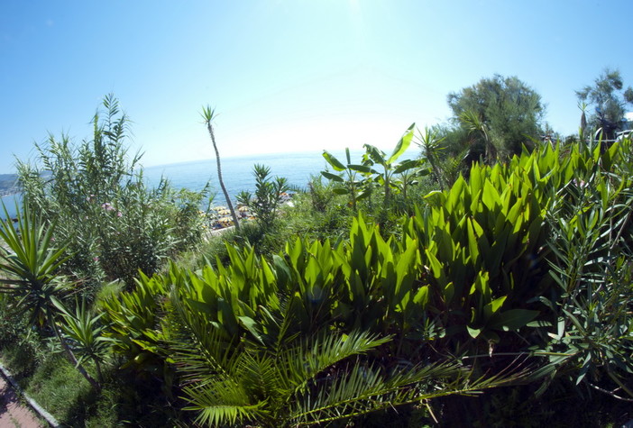 Sanremo: voragine di fronte alla 'Chiesa dell'Arma', necessari lavori urgenti