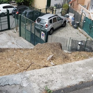 Il 'buco' nel muro di via Borea