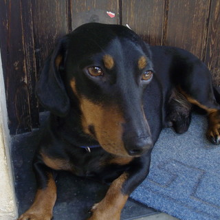 Foto generica Foto generica