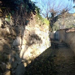 Bordighera: mercoledì prossimo alle 21 passeggiata serale lungo l'antico beodo, il palmeto storico Bordighera: mercoledì prossimo alle 21 passeggiata serale lungo l'antico beodo, il palmeto storico