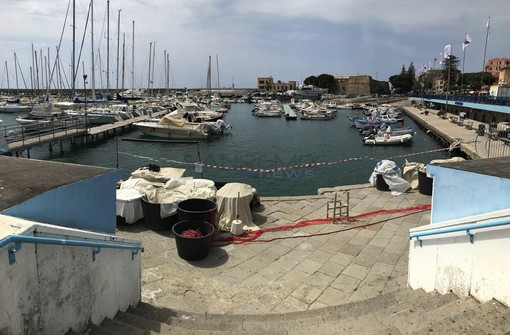 Sanremo, domani il Campionato provinciale di traina costiera: in gara 26 equipaggi, c'è Guido Ascheri già iridato Sanremo, domani il Campionato provinciale di traina costiera: in gara 26 equipaggi, c'è Guido Ascheri già iridato