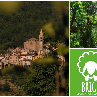 Mendatica: in attesa del ripristino del collegamento stradale con Monesi le attività del paese tornano a crescere grazie al lavoro della cooperativa Brigì Mendatica: in attesa del ripristino del collegamento stradale con Monesi le attività del paese tornano a crescere grazie al lavoro della cooperativa Brigì