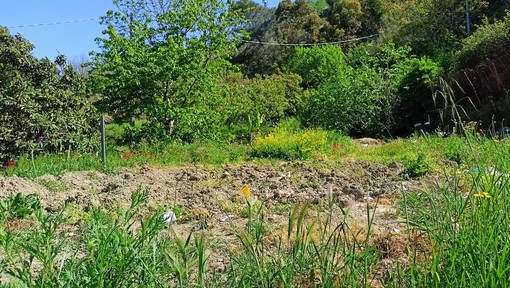 Vallecrosia acquisisce sei immobili confiscati alla criminalità organizzata Vallecrosia acquisisce sei immobili confiscati alla criminalità organizzata