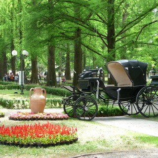 A Boario le Terme sono In Fiore
