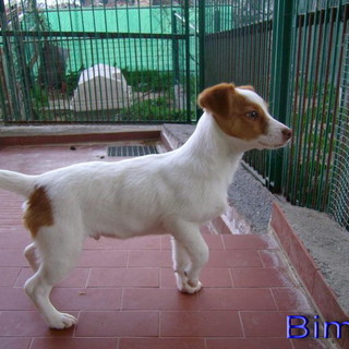 Serie di escursioni per il prossimo weekend nell'entroterra