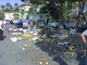 Ventimiglia: sabato scorso sequestrate 40 casse di frutta e verdura ad un 'melonaro' a Ponte San Ludovico