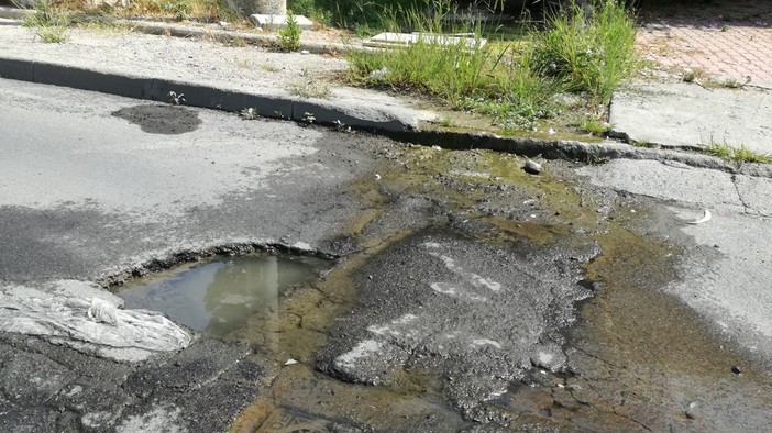 Bussana: continua la perdita d'acqua in via Frantoi Canai, la segnalazione di un nostro lettore (Foto) Bussana: continua la perdita d'acqua in via Frantoi Canai, la segnalazione di un nostro lettore (Foto)
