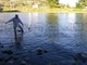 Taggia: bracconieri in azione sul torrente Argentina, scoperta da pescatori regolari una rete 'Barracuda' (Foto)