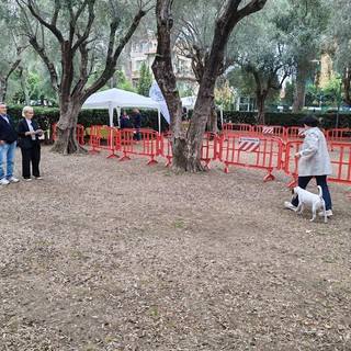 Esposizione canina amatoriale, ai giardini Lowe torna "Bordighera Dog Show"