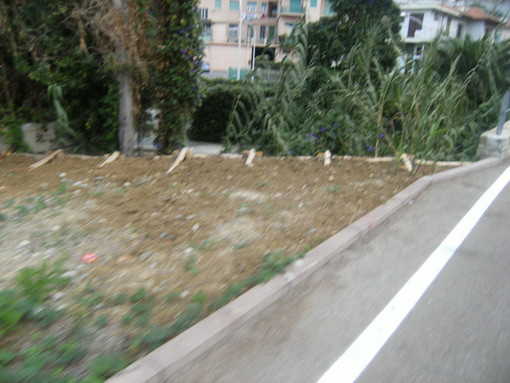 Scarse risorse e nessuna manutenzione ordinaria sulla ciclabile: l'intervento di un lettore