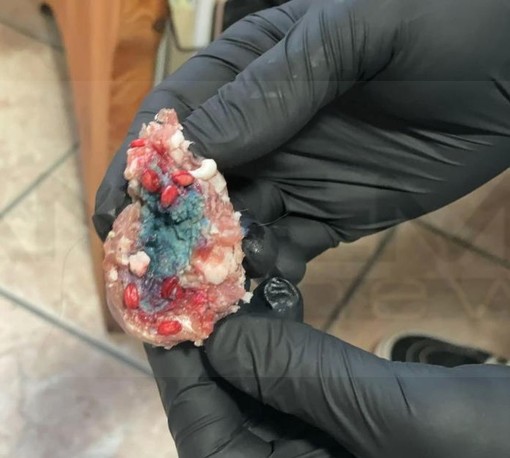 Badalucco: bocconi avvelenati nel centro del paese, lanciato l'allarme per cani e gatti (Foto)