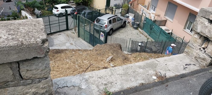 Il 'buco' nel muro di via Borea