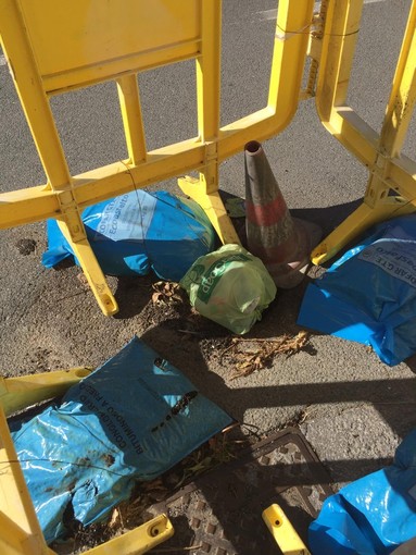 Decoro dei parchi e frana di via Fanny Roncati Carli, le question time di 'Progetto Imperia'