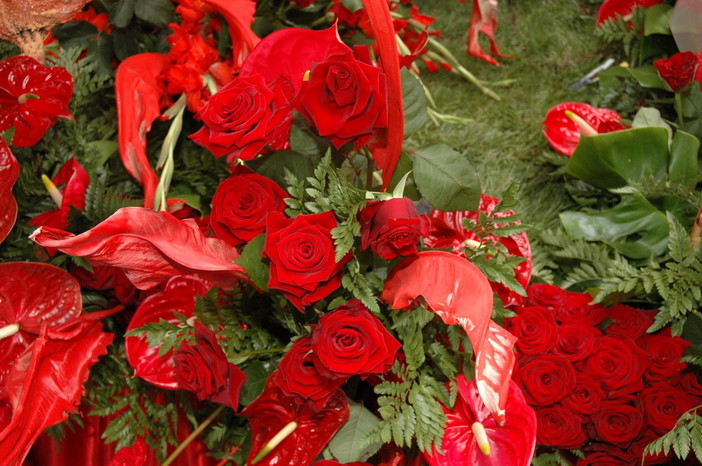 L'importanza del settore floricolo nell'economia ponentina: il pensiero di Andrea Gandolfo L'importanza del settore floricolo nell'economia ponentina: il pensiero di Andrea Gandolfo