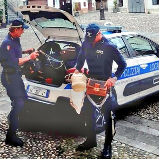 Blitz contro il commercio abusivo in centro a Sanremo: fuggi fuggi tra la folla e merce falsa sequestrata (Foto)