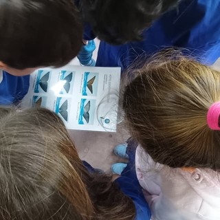 Missione Pelagos, piattaforma gratuita per le scuole liguri e piemontesi dedicata a balene e ambiente marino Missione Pelagos, piattaforma gratuita per le scuole liguri e piemontesi dedicata a balene e ambiente marino