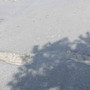 Buca in Strada Solaro, la nuova segnalazione di un lettore: "Situazione invariata da due mesi" Buca in Strada Solaro, la nuova segnalazione di un lettore: "Situazione invariata da due mesi"