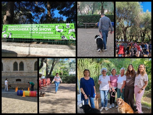 Beneficenza, attrazioni, stand e sfilate: al via il Bordighera Dog Show (Foto e video) Beneficenza, attrazioni, stand e sfilate: al via il Bordighera Dog Show (Foto e video)