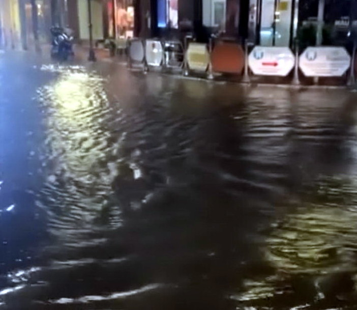 Forte acquazzone sulla provincia: una quindicina di millimetri a Bordighera e un albero caduto a Dolcedo