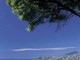 Bordighera: facile escursione con Stl Riviera dei Fiori nei luoghi dipinti da Claude Monet