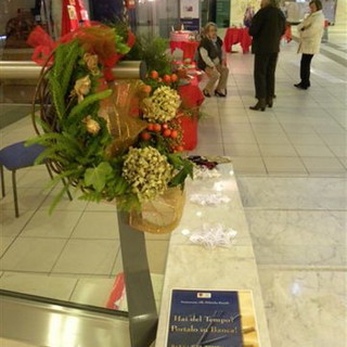 Sanremo: oggi al Palafiori la prima giornata della 'Banca del Tempo'