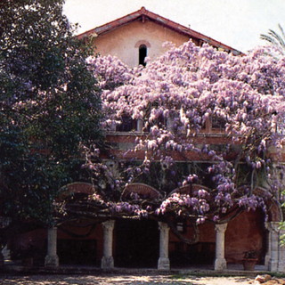 Bordighera: mercoledì prossimo, passeggiata nei luoghi degli inglesi e al Museo Bicknell Bordighera: mercoledì prossimo, passeggiata nei luoghi degli inglesi e al Museo Bicknell