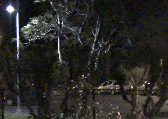 Sanremo: bici appesa ad un albero sulla pista ciclabile Sanremo: bici appesa ad un albero sulla pista ciclabile
