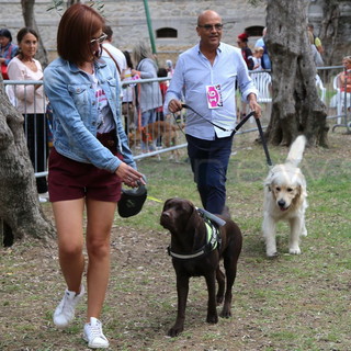 Bordighera: nel giorno di San Francesco sfilano ai Giardini Lowe i cani del Dog Show Bordighera: nel giorno di San Francesco sfilano ai Giardini Lowe i cani del Dog Show