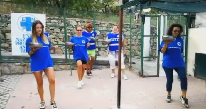 Sanremo: un 'balletto' dei volontari Enpa sulla base di 'Jerusalema' per aiutare gli animali del canile (Video)