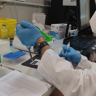 Coronavirus: 210 nuovi casi nell'ultima settimana nel Principato di Monaco, 38 i ricoverati