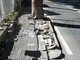 Sanremo: le radici dei pini di via Padre Semeria continuano a creare problemi, donna caduta ieri sul marciapiede (Foto)