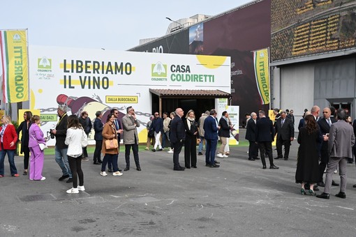 Coldiretti Liguria: “Liberare il vino dalla burocrazia per salvaguardare un settore fragile ma strategico”