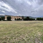 Abbattuti 32 alberi alle Ex Caserme Revelli, l’allarme di Progettiamo il Futuro: “Servono trasparenza e ripiantumazioni”