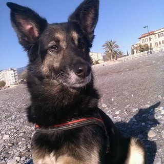 Isha, 11 anni Isha, 11 anni