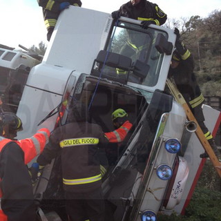 Trasporti animali: ennesimo incidente stradale con strage di animali. La Lav imperiese “Regolamentare i viaggi della morte” Trasporti animali: ennesimo incidente stradale con strage di animali. La Lav imperiese “Regolamentare i viaggi della morte”