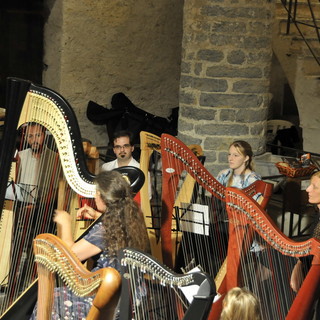 Montalto: dal 26 giugno al 1° luglio prossimi torna il tradizionale 'Corso d'arpa classica e celtica'