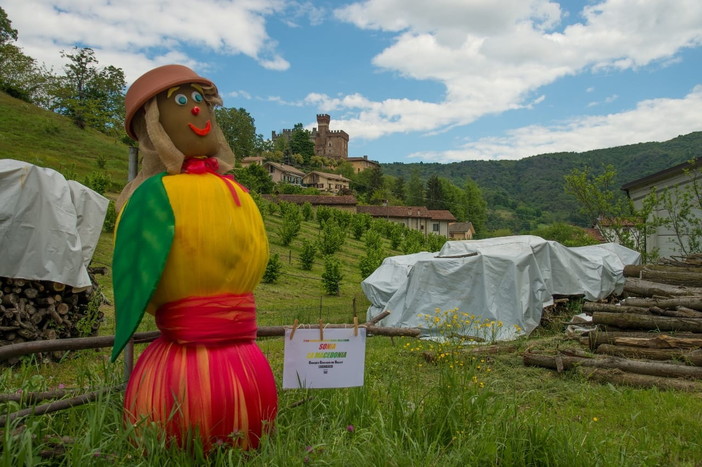 La foto è di Mario Piovano La foto è di Mario Piovano