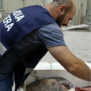 La Guardia Costiera della Liguria a tutela della risorsa ittica e del consumatore: due interventi nel genovese