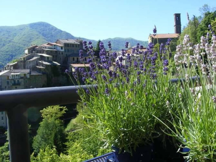 Carpasio: questo fine settimana, workshop per la produzione artigianale di saponi e birra