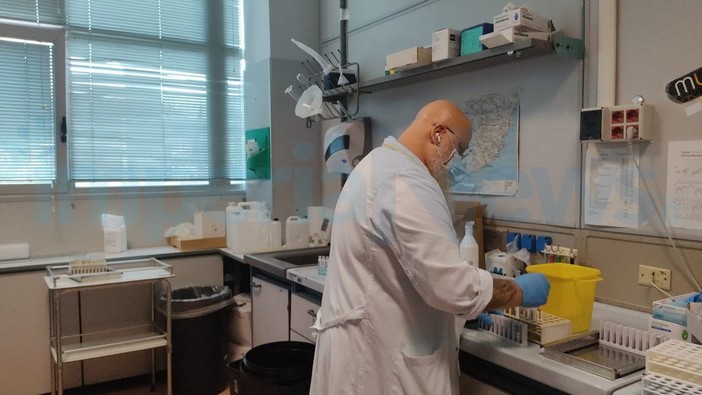 Coronavirus: numeri stazionari rispetto a ieri in regione e provincia di Imperia, positività in lieve diminuzione