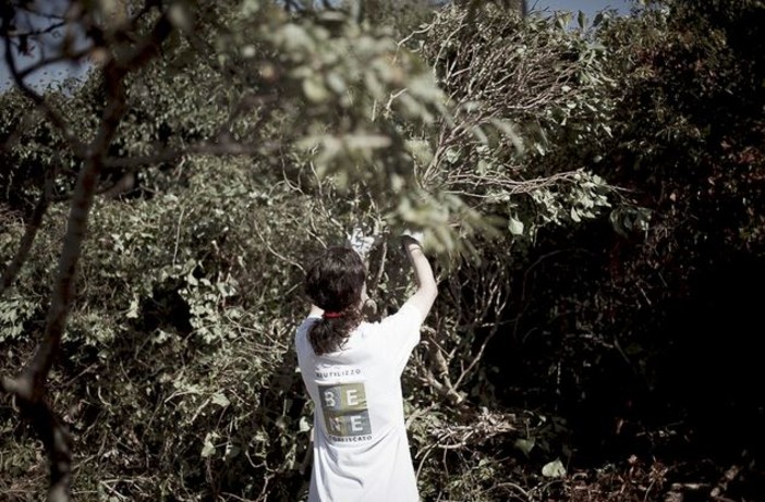 Ventimiglia: da venerdì 3 luglio, al via i Campi Antimafia nell’ambito del programma di ‘Estate liberi’