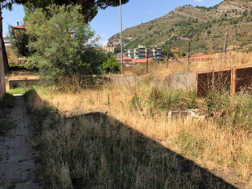 Ventimiglia: mancata manutenzione nella zona del condominio “Pineta Mare”, la segnalazione di una lettrice (Foto)