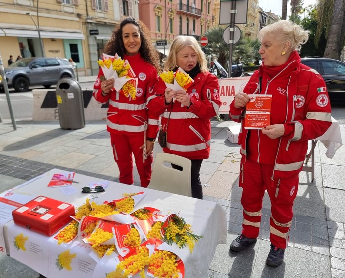 Sanremo: la Croce Rossa in piazza per la 'Festa della Donna', non solo mimosa ma anche informazione (Foto)