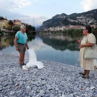 Ventimiglia: cigno morto ieri sera alla foce del Roya, il commento del nostro lettore Pierre Mattia Ventimiglia: cigno morto ieri sera alla foce del Roya, il commento del nostro lettore Pierre Mattia