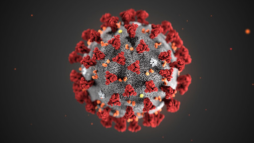 Emergenza Coronavirus: breve guida per aziende e lavoratori