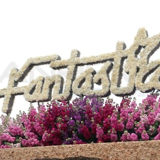 Sanremo, il weekend dei fiori conquista 45mila presenze: Albergatori e commercianti "Qualità in crescita e città protagonista" Sanremo, il weekend dei fiori conquista 45mila presenze: Albergatori e commercianti "Qualità in crescita e città protagonista"