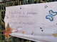 Sanremo: le mamme degli alunni a Villa Vigo ci scrivono per ringraziare maestre e tutto lo staff