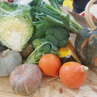 Bordighera festeggia Halloween al Mercato Coperto di Campagna Amica: tra zucche, bambini e sapori d’autunno Bordighera festeggia Halloween al Mercato Coperto di Campagna Amica: tra zucche, bambini e sapori d’autunno