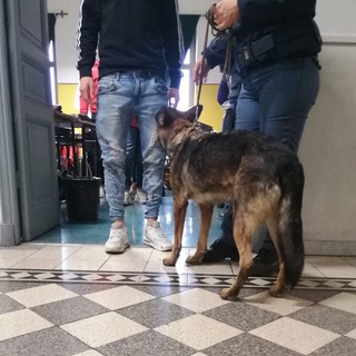 Operazione “Scuola Sicure”: agenti della Polizia al “Marconi” di Sanremo e al Nautico di Imperia (Foto)