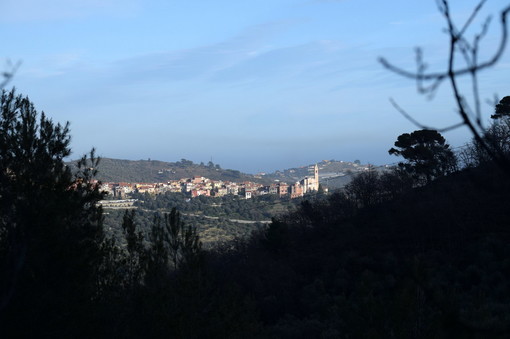 A Civezza appuntamento con l'evento 'Uliveti, erbe e degustazione con Natalino Trincheri' A Civezza appuntamento con l'evento 'Uliveti, erbe e degustazione con Natalino Trincheri'